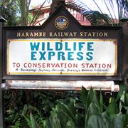 Wildlife Express Train