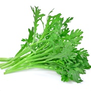 Shungiku (Chrysanthemum Greens)