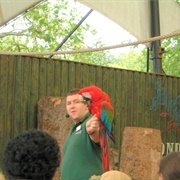 London Zoo Amphitheatre