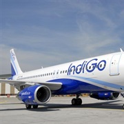 Indigo (India)
