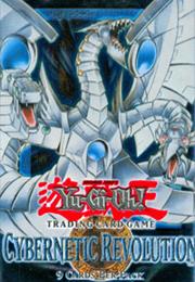 Cybernetic Revolution