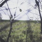 Hood - The Cycle of Days and Seasons