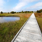 Fort Fisher State Recreation Area, North Carolina