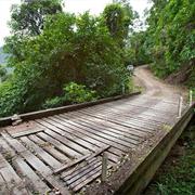 Dunggir National Park (NSW)