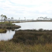 Bon Secour National Wildlife Refuge