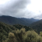 Gentle Annie and River Ridge