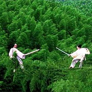 Crouching Tiger, Hidden Dragon