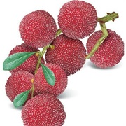 Chinese Strawberry