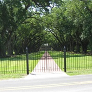 Oak Alley Plantation
