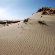 Curonian Spit
