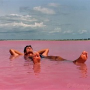 See the Pink Waters of Lake Retba, Senegal