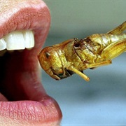 Eat Insects in Asia