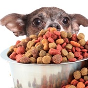 You Forget to Feed It