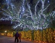 Celebration in the Oaks, NOLA, *Christmas