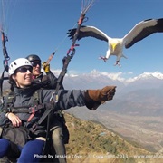 Parahawking in Nepal