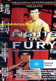 Fights of Fury (2004)