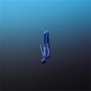 Todtgelichter - Angst