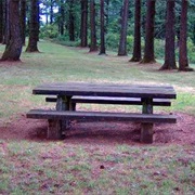 Bald Peak State Scenic Viewpoint, Oregon