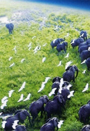 Planet Earth 2 (2016)