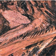 Peace to Your Cods - Cod Peace