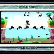 Turtle Bridge
