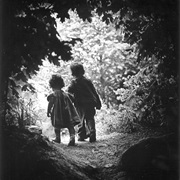 The Walk to Paradise Garden