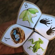 Nature Cootie Catcher