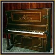 Ursus H. Bear's Wilderness Outpost (1972-1988)