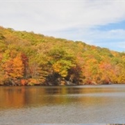 Clarence Fahnestock Memorial State Park, New York