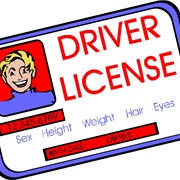 Get My Driving License