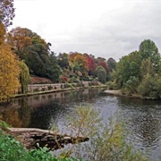The Weir Garden
