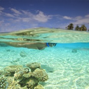Swim in the Indian Ocean