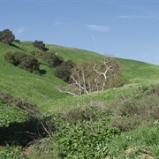 Chino Hills State Park, California