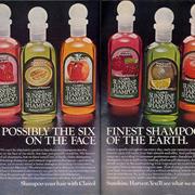 Sunshine Harvest Shampoo