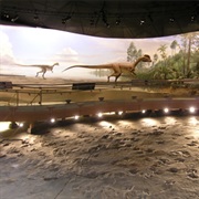 Dinosaur State Park, Connecticut