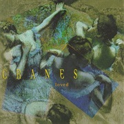 Cranes- Loved