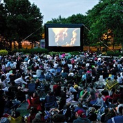Go to a Movie in the Park