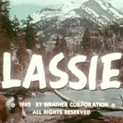Lassie (1954-74)