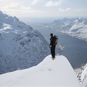 Lyngen