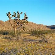 Saddleback Butte State Park, California