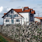 Hopfenmuseum Tettnang