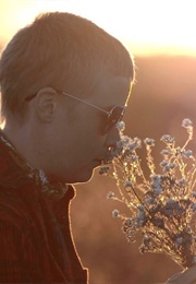 Wieś Pływających Krów (2017)