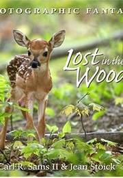 Lost in the Woods (Carl R. Sams II and Jean Stoick)