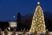 Seen the White House Christmas Tree