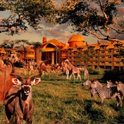 Disney's Animal Kingdom, Orlando