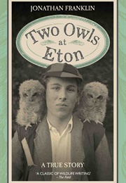 Two Owls at Eton (Jonathan Franklin)