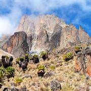 Mount Kenya National Park/Natural Forest