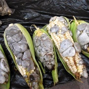 Corn Smut or Mexican Truffles (Fungus That Grows on Corn)