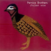 Chicken Wire - Pernice Brothers