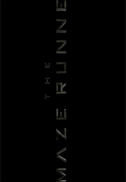 Maze Runner,The (2014)